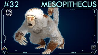 TODO SOBRE EL MESOPITHECUS 32  ARK Survival Evolved  Dossiers La Isla [upl. by Girard]