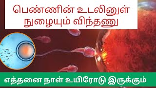 sperm lives for how many days in uterus tamilsperm lifetime in uterus doctorpregnancytamil [upl. by Ecadnarb92]