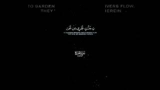 Chroma Quran  كروما القرآن  A black screen ready to be designed [upl. by Talya]