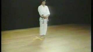 Bassai Dai  Shotokan Karate [upl. by Gambrell854]