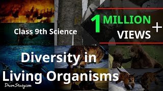 Diversity in Living Organisms  CBSE Class 9 IX Science  Toppr Study [upl. by Ssej334]