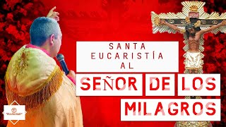 🛑✝️SANTA EUCARISTIA DE SANACION Y LYBERACION 14 Noviembre de 2024 senordelosmilagros🛑✝️ [upl. by Assirok]