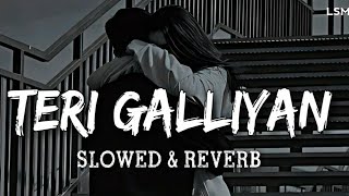 Teri galiyan slowed reverb lyrics [upl. by Julee]