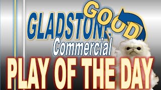 Gladstone Commercial  Monthly Dividend Stock  Passive Income [upl. by Adil]