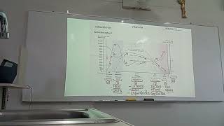 MICROBIOLOGIA  FASE 3  PRACTICA 01  02 [upl. by Aryaz]