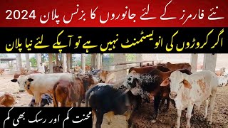 Business plan for new farmers II Small scale farming and fattening tips 2024 [upl. by Nahtanoj98]