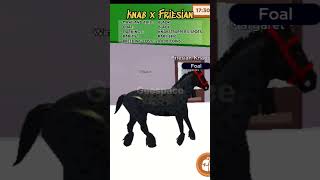 Knabstrupper Hybrids shorts roblox horsevalley horse robloxgames [upl. by Ecinert361]