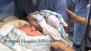 Perinatal Hospice Video [upl. by Heyes]