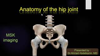 4Anatomy of the hip joint [upl. by Oiramed]