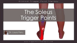 The Soleus Trigger Points [upl. by Ateekahs523]