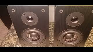 Micca MB42 Bookshelf Speakers The unboxing video [upl. by Ettedanreb]