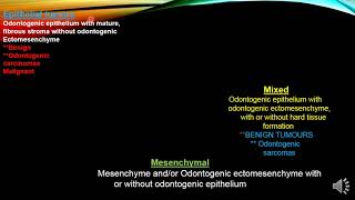 Epithelial Odontogenic Tumors [upl. by Hcra]