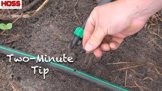 How to Remove and Reuse Drip Tape Irrigation [upl. by Osterhus]