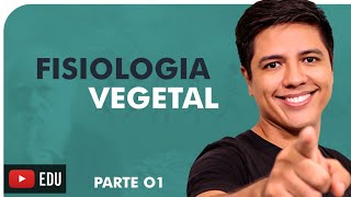 FISIOLOGIA VEGETAL  XILEMA E FLOEMA  BOTÂNICA TRANSPORTE DE SEIVA  Prof Kennedy Ramos [upl. by Tekla43]