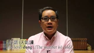 廣東話高級講師李兆麟博士專訪 Interview of a Cantonese teacher [upl. by Eynahpets]