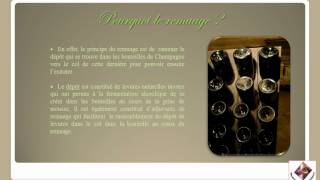 Remuage des bouteilles de Champagne [upl. by Anowahs392]