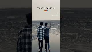 Tu Mera Bhai Hai [upl. by Tol]