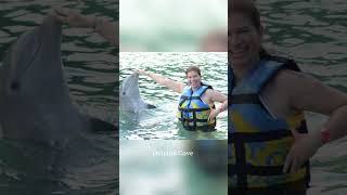 Dolphins cove Jamaica travel whoneedsavacation vacation vacationconsultant [upl. by Humpage]