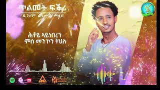 New Eritrean Music Tilmet FQri Biniam Solomon ጥልመት ፍቕሪ  ብንያም ሰሎሞን መለይ [upl. by Darbie]