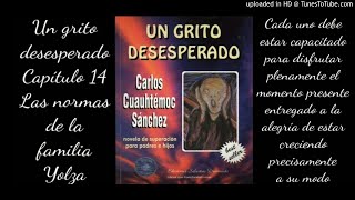 Capítulo 14 Un grito desesperado [upl. by Enawtna854]