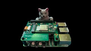 Unstructured Data Processing with a Raspberry Pi AI Kit  Hailo Edge AI Demo [upl. by Benito709]