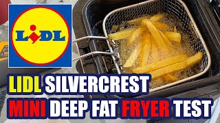 Lidl Silvercrest Mini Deep Fat Fryer Review [upl. by Sheela]