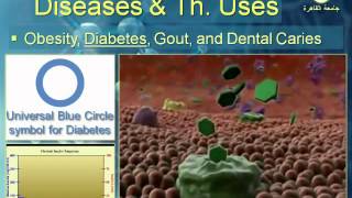 Therapeutic Uses of Disaccharides presentation [upl. by Nalyd]