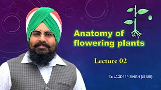 ANATOMY OF FLOWERING PLANTS LECTURE 02 [upl. by Ydnelg]