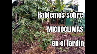 La importancia de los MICROCLIMAS a la hora de plantar arboles en nuestro jardín [upl. by Hsan]