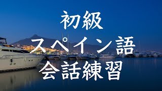 初級スペイン語会話トレーニング200  基本フレーズ聞き流し [upl. by Owena]