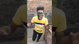 O Susto Gorilla 🦍🦍shors funny viral trending [upl. by Hcaz]