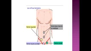 SEMIOLOGIE L’examen clinique de l’appareil digestive [upl. by Emarie]