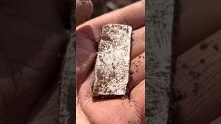 2000 YEAR OLD SILVER Metal detecting find of a LIFETIME [upl. by Coplin]