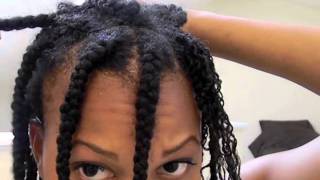 How to Do MiniTwists on Natural Hair Without Driving Yourself Crazy [upl. by Coretta226]