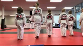 Introduction orange belt testing 2024 [upl. by Margetts626]