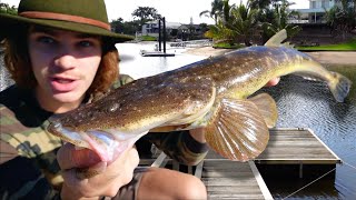 Fishing For RIVER MONSTERS Overnight Jetty Challenge SharkFlatheadTrevally [upl. by Leigh]