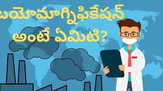 What is biomagnification బయో మాగ్నిఫికెషన్ అంటే ఏమిటి [upl. by Moriah]