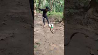 Reed snake 🐍🔱 snake cooking cobra 1000subscriber nagnagin [upl. by Draner]