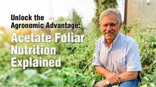 Unlock the Agronomic Advantage Acetate Foliar Nutrition Explained [upl. by Suirtimid]