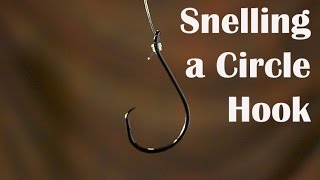 How to Tie a Snell Knot on a Circle Hook [upl. by Hulbert]