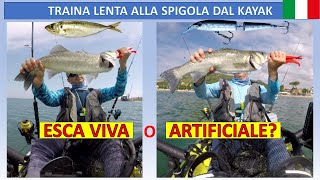 Traina lenta alla spigola dal kayak esca viva o artificiale [upl. by Desiree]