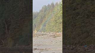 Ozette Triangle Coastal Trail rainbow  Clallam Bay Washington Peninsula 1 [upl. by Shult]