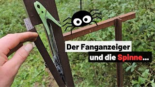 ❗️SCHWIERIGKEITEN❗️bei👁‍🗨optischem FALLENMELDERFallenjagdJAGD 2024TrapperInfo [upl. by Eilyah]