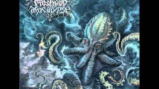 Fleshgod Apocalypse  Blinded by Fear At the GatesCover [upl. by Arihsa711]