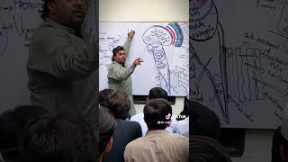 Sir Sajjad biology lecture biologyzone cca academy faqirabadpeshawar viralshorts [upl. by Orel]