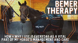 THE BEMER HORSE SET An Equestrian Vlog on BEMER THERAPY How It Helps Our Horses amp Why I Use It [upl. by Bagley655]