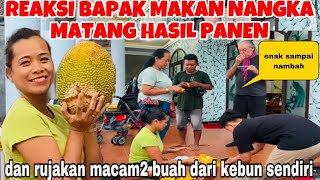 REAKSI BAPAK BULE MAKAN NANGKA HASIL PANEN ampRUJAAN MACAM2 BUAH DARI RUMAH SENDIRI [upl. by Ahtelat]