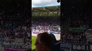 Waldhof Mannheim 🔵⚫👊🏼 waldhofmannheim ultras support fangesänge [upl. by Maggio]