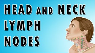 Lymph Nodes In The Neck  Occipital Auricular Cervical Submandibular and Submental nodes [upl. by Yhtamit]