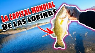 Pesca de LOBINA en BACURATO SINALOA  Todo pescador SUEÑA con conocer este LAGO [upl. by Elleral]